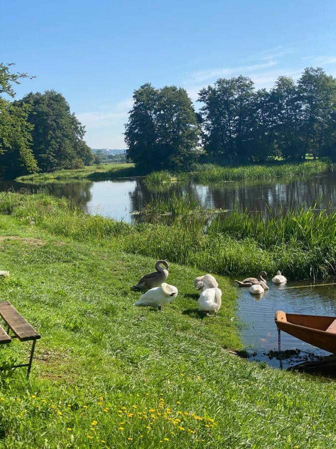 Idyllische Ferienwohnungen In Mossendorf Blick Zur Naab Бургленгенфельд Экстерьер фото