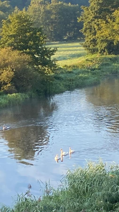 Idyllische Ferienwohnungen In Mossendorf Blick Zur Naab Бургленгенфельд Экстерьер фото